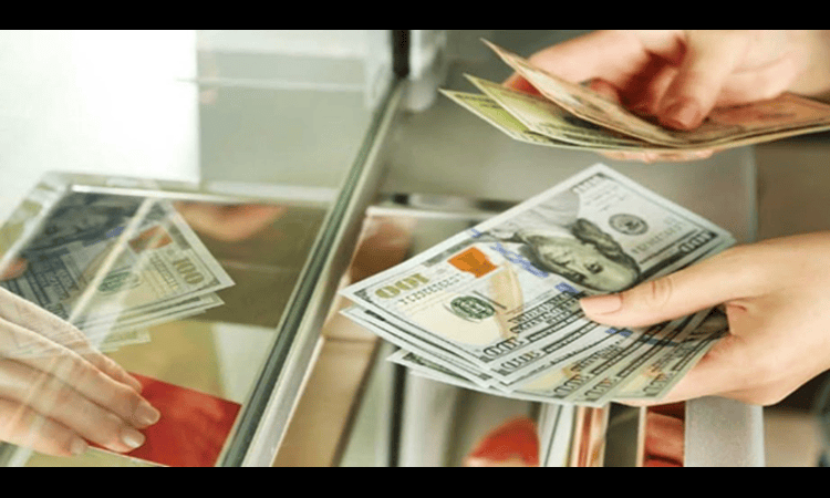 UAE: Considering Sending USD to India? Banks Offer Up to 7.5% Returns